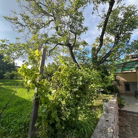 Prázdninový dům -self-check- 4-room Extra Large House